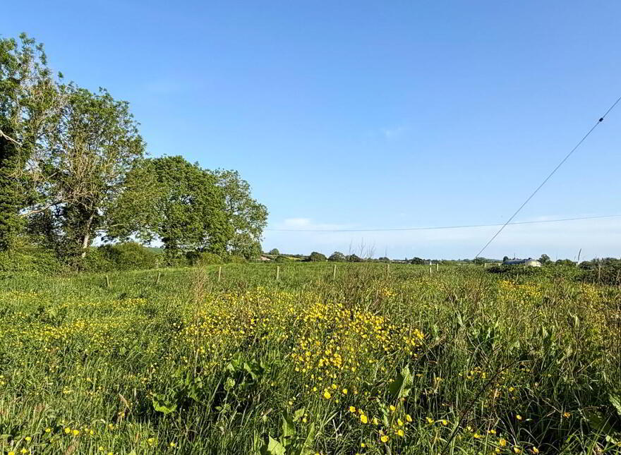 Building Site, Beside, 67 Clare Road, Gilford, BT63 6AQ