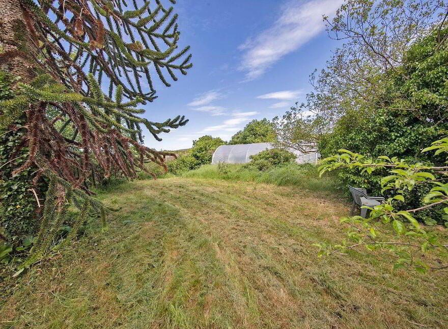 Rectory Cottage, West Street, Tallow, P51X6X7