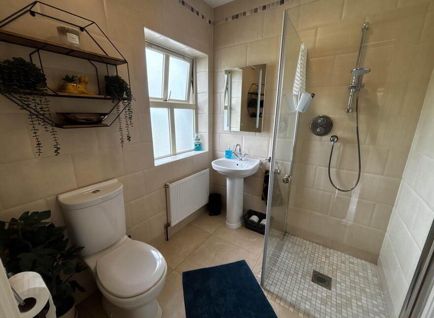 Clooncunna, Ballysimon, V94A4A6