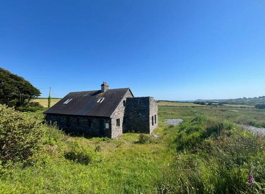 Ballydevlin, Goleen, Toormore, P81N966