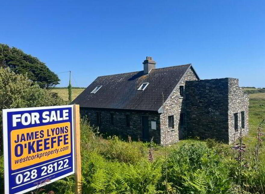 Ballydevlin, Goleen, Toormore, P81N966
