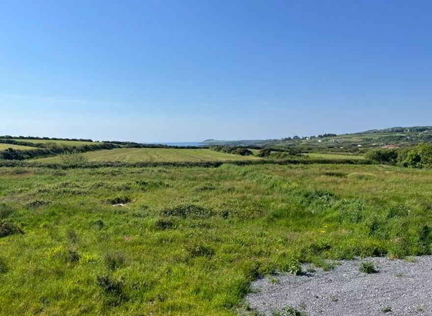Ballydevlin, Goleen, Toormore, P81N966