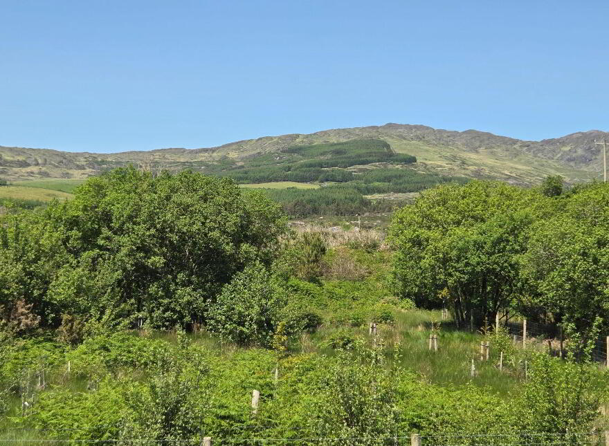 Drinishader, Trafrask West, Adrigole, P75PR22