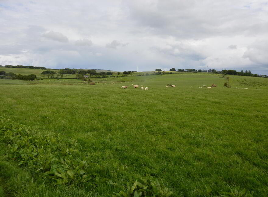 Clatteryknowes, Moorfields Road, Ballymena, BT42 3EG photo