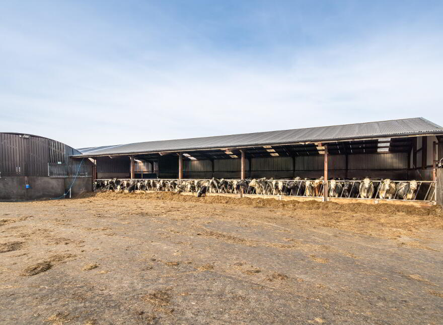 Farm At Kircubbin, Lisbane Road, Kircubbin, BT22 1AW