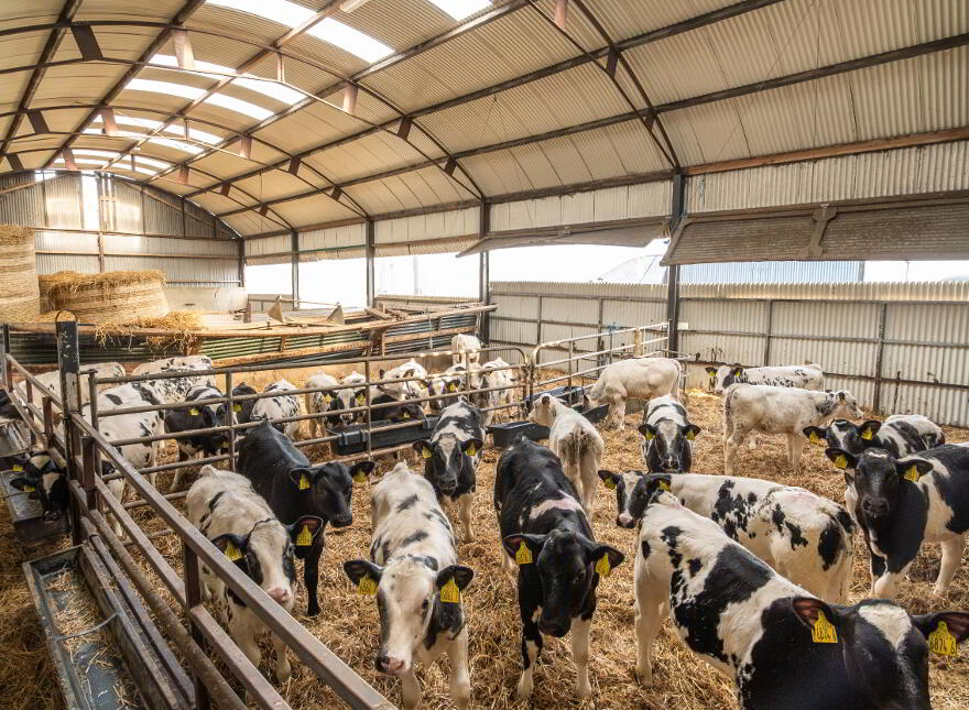 Farm At Kircubbin, Lisbane Road, Kircubbin, BT22 1AW