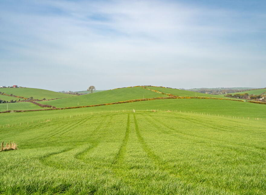 Lot 1 - Farm At Kircubbin, Lisbane Road, Kircubbin, BT22 1AW