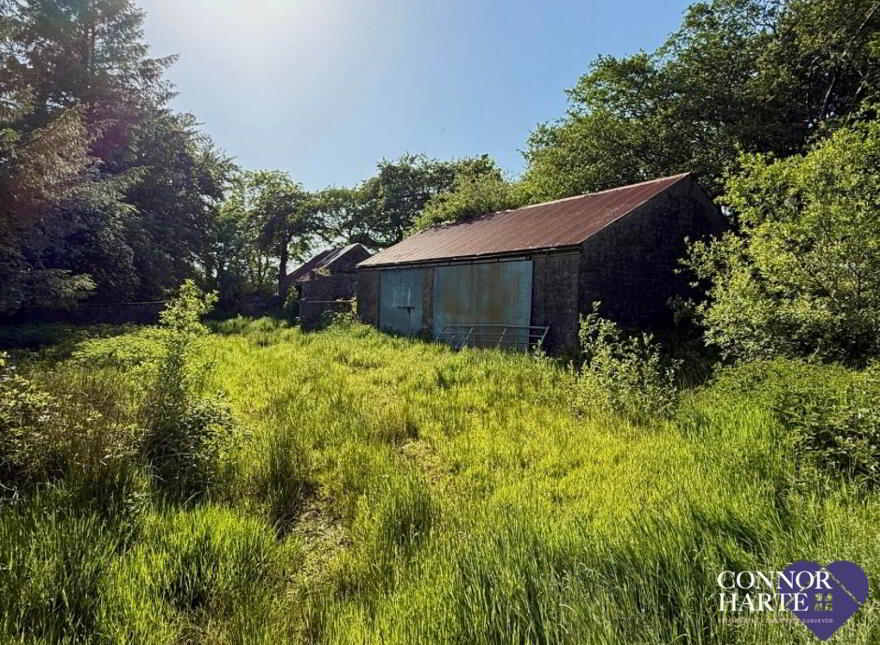Lands At Killeenan Road & Baladoogh Road, Killeenan, Cookstown, BT80 9JD