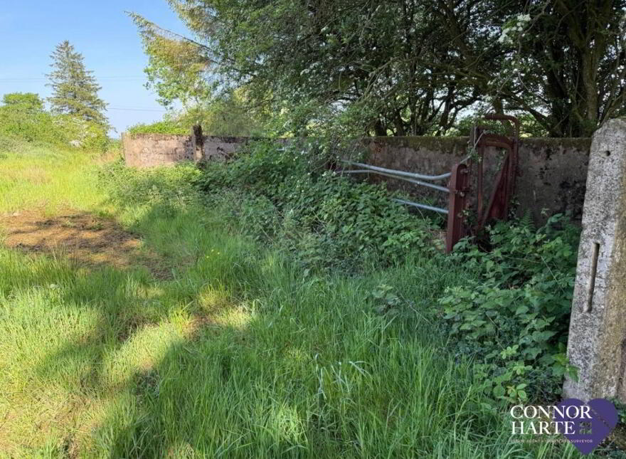 Lands At Killeenan Road & Baladoogh Road, Killeenan, Cookstown, BT80 9JD