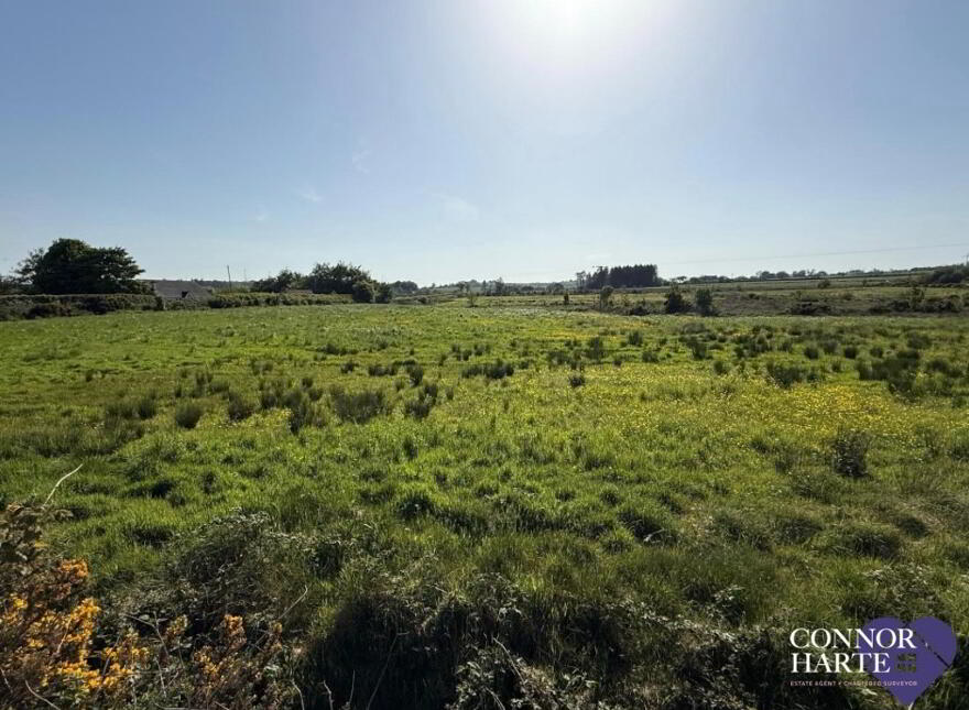 Lands At Killeenan Road & Baladoogh Road, Killeenan, Cookstown, BT80 9JD