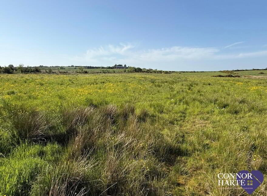 Lands At Killeenan Road & Baladoogh Road, Killeenan, Cookstown, BT80 9JD