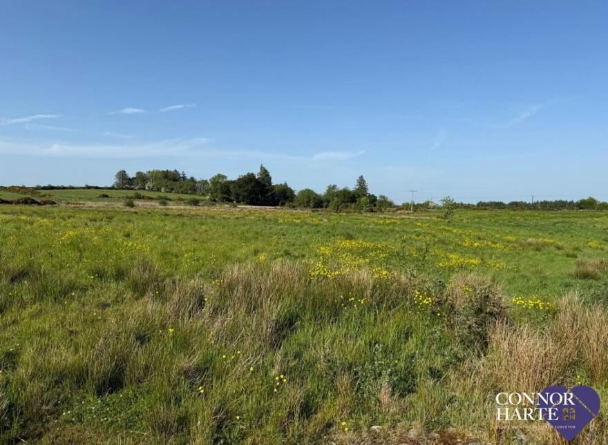 Lands At Killeenan Road & Baladoogh Road, Killeenan, Cookstown, BT80 9JD