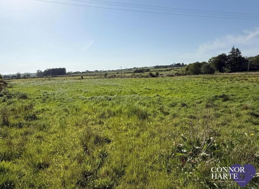 Lands At Killeenan Road & Baladoogh Road, Killeenan, Cookstown, BT80 9JD