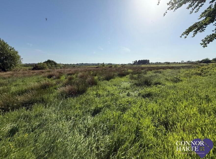 Lands At Killeenan Road & Baladoogh Road, Killeenan, Cookstown, BT80 9JD