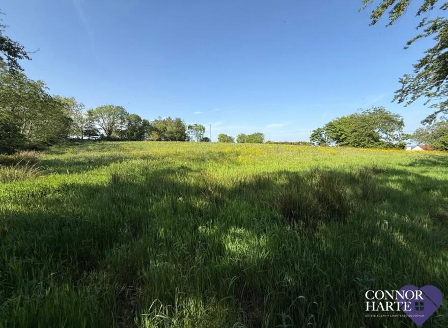 Lands At Killeenan Road & Baladoogh Road, Killeenan, Cookstown, BT80 9JD