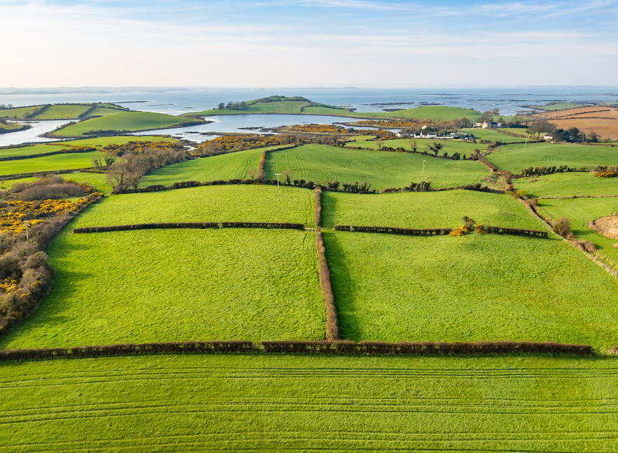 Lot 3 - Land At Rowreagh Road, Rowreagh Road, Newtownards, BT22 1HG