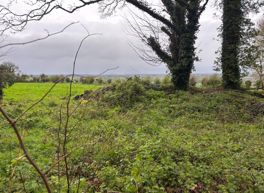 Derry, Banteer, P51E5C7