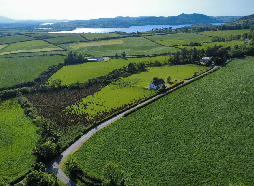Derelict Cottage, C. 24.66 Acres, Springfield, Tamney, F92H308