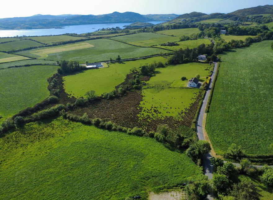 Derelict Cottage, C. 24.66 Acres, Springfield, Tamney, F92H308