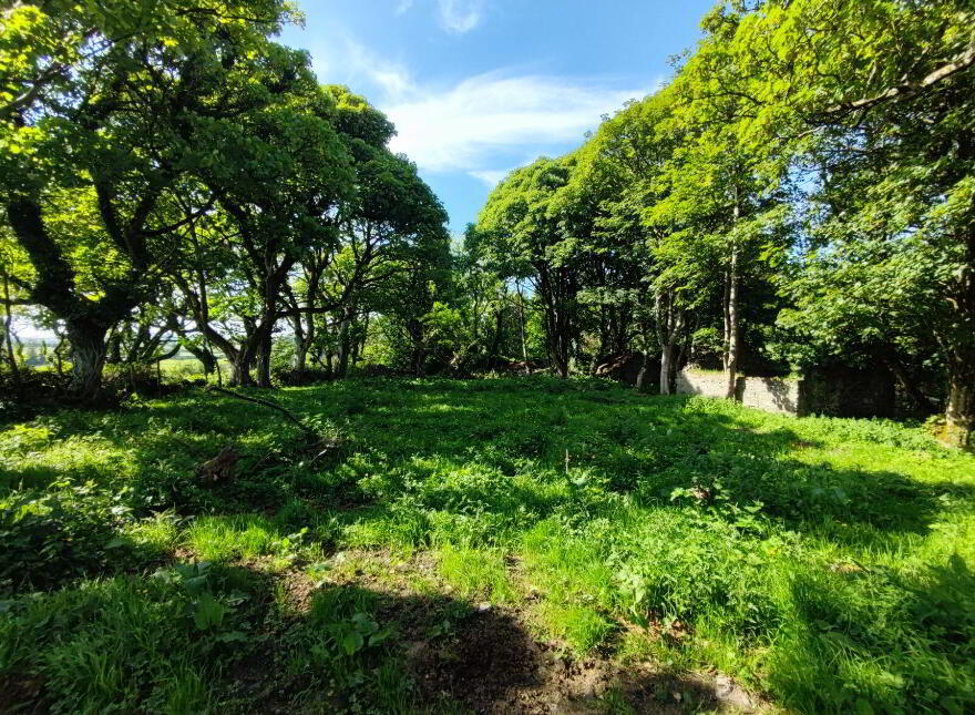 Derelict Cottage, C. 24.66 Acres, Springfield, Tamney, F92H308