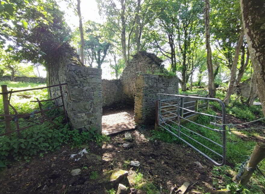 Derelict Cottage, C. 24.66 Acres, Springfield, Tamney, F92H308