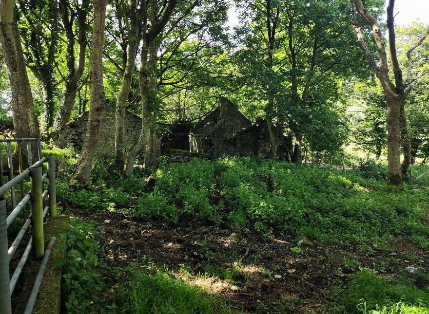 Derelict Cottage, C. 24.66 Acres, Springfield, Tamney, F92H308