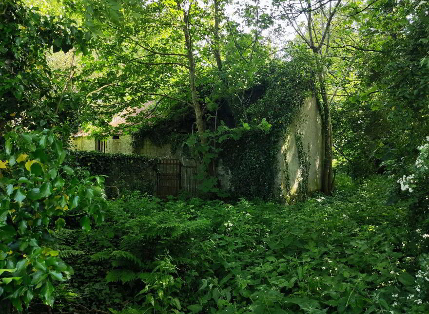 Derelict Cottage, C. 24.66 Acres, Springfield, Tamney, F92H308