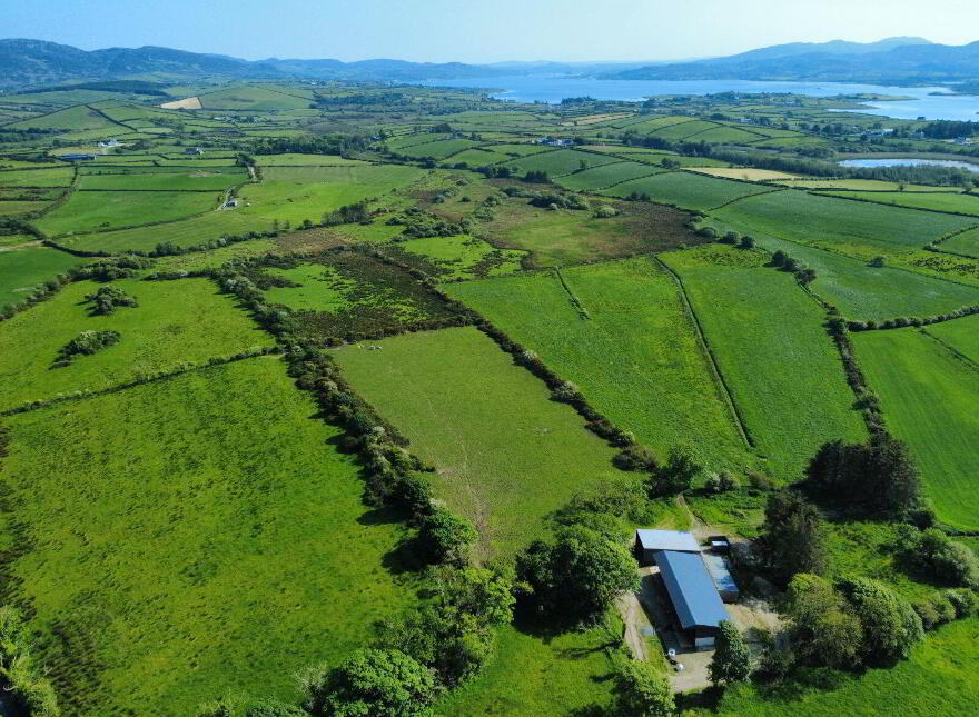 Derelict Cottage, C. 24.66 Acres, Springfield, Tamney, F92H308