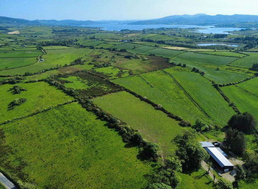 Derelict Cottage, C. 24.66 Acres, Springfield, Tamney, F92H308