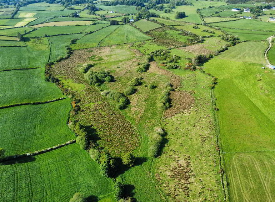 Derelict Cottage, C. 24.66 Acres, Springfield, Tamney, F92H308