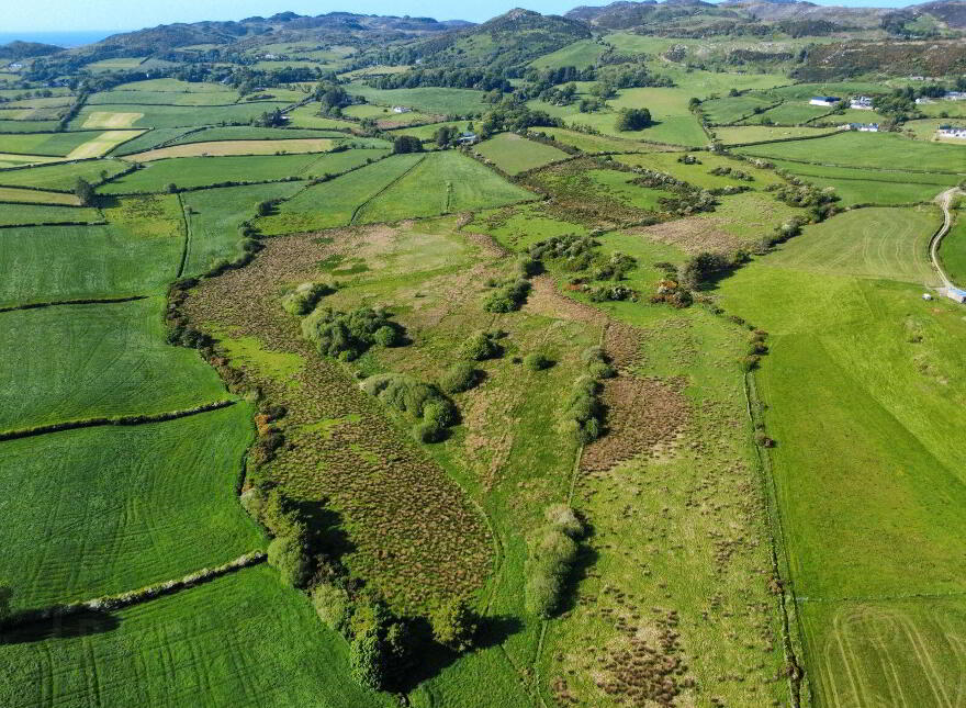Derelict Cottage, C. 24.66 Acres, Springfield, Tamney, F92H308