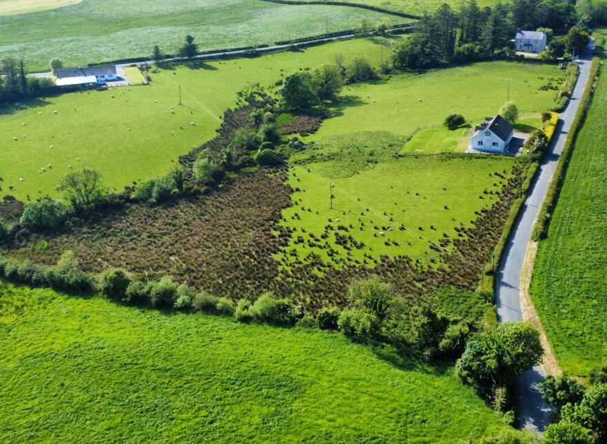 Derelict Cottage, C. 24.66 Acres, Springfield, Tamney, F92H308
