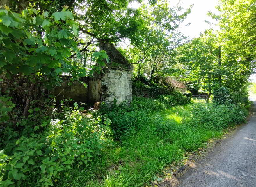 Derelict Cottage, C. 24.66 Acres, Springfield, Tamney, F92H308