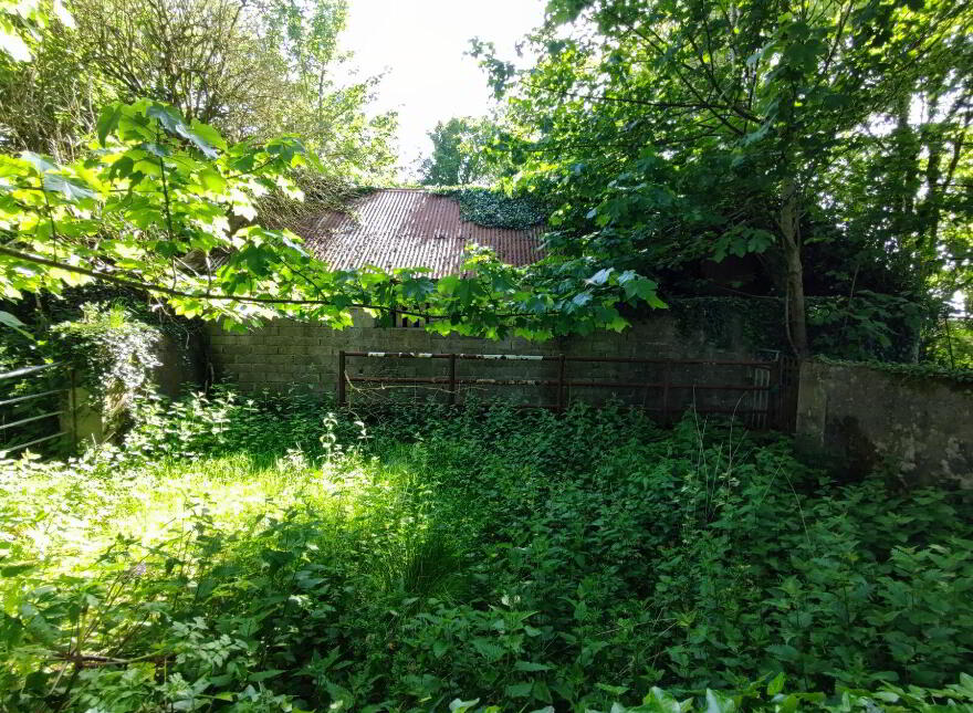 Derelict Cottage, C. 24.66 Acres, Springfield, Tamney, F92H308