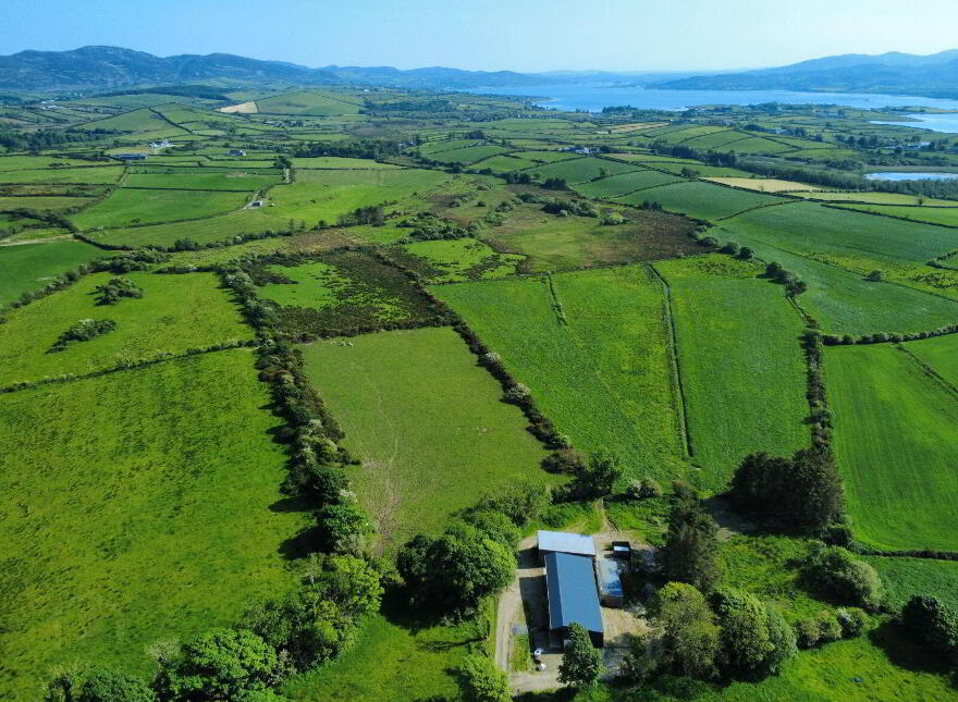 Derelict Cottage, C. 24.66 Acres, Springfield, Tamney, F92H308