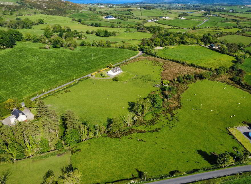 Derelict Cottage, C. 24.66 Acres, Springfield, Tamney, F92H308