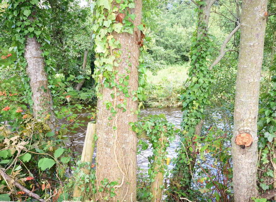 121 Raceview, Muckamore, Antrim, BT41 4QB