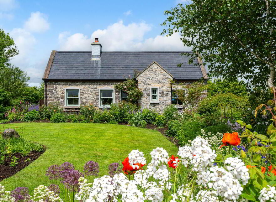 Nead An Dreoilín, Rathgranagher, Hollymount, F12R129