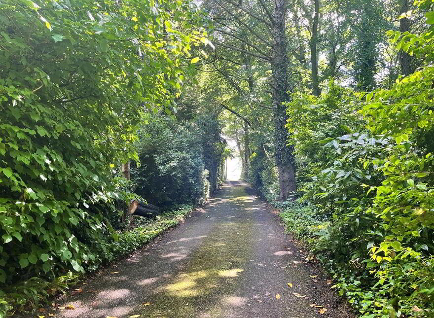 The Orchard, Baltray, A92YT04