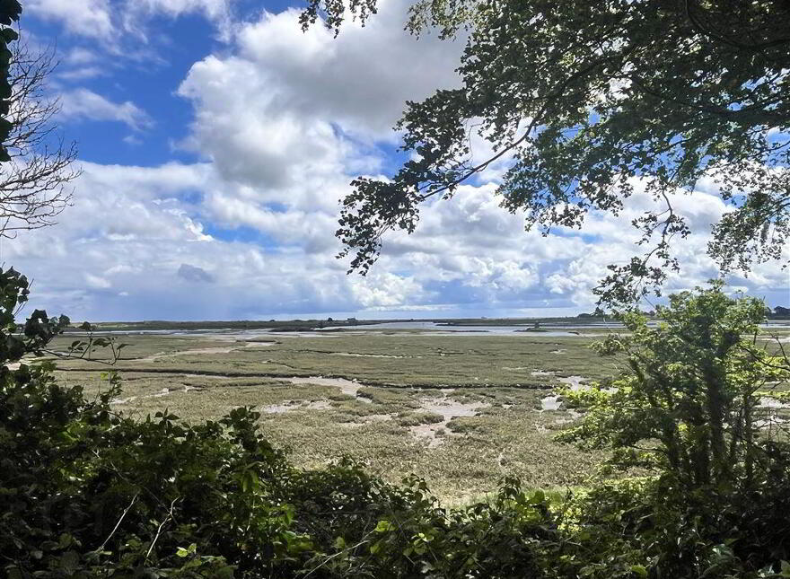 The Orchard, Baltray, A92YT04