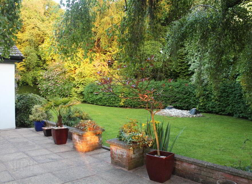 The Orchard, Baltray, A92YT04