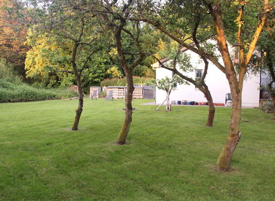 The Orchard, Baltray, A92YT04