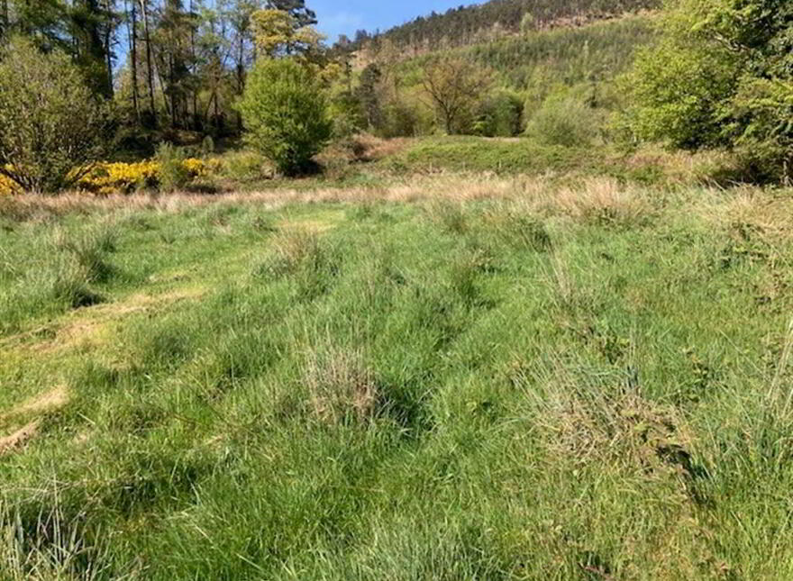 Wood Road, Meigh, Newry, BT35