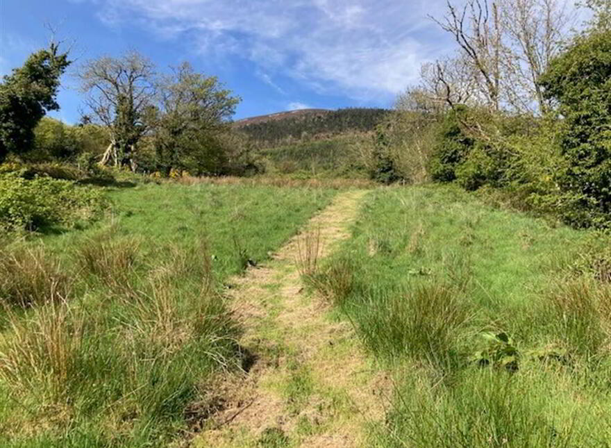 Wood Road, Meigh, Newry, BT35