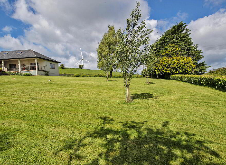 Ballymulalla, Cappagh, Keereen, X35N268