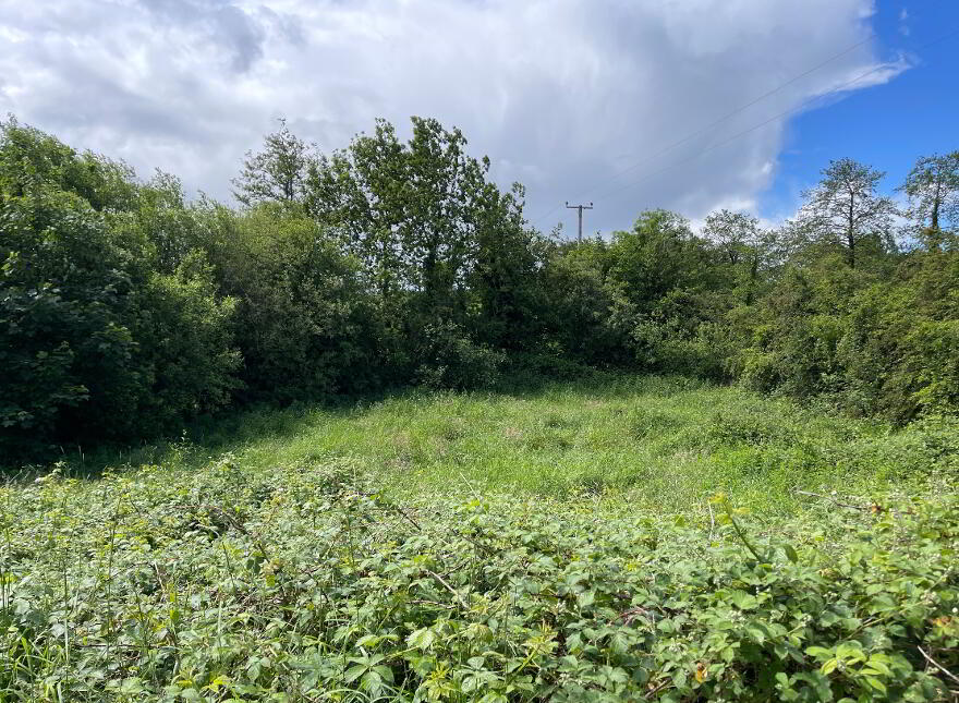 19 Tullyveagh Road, Cookstown, BT80 8RY