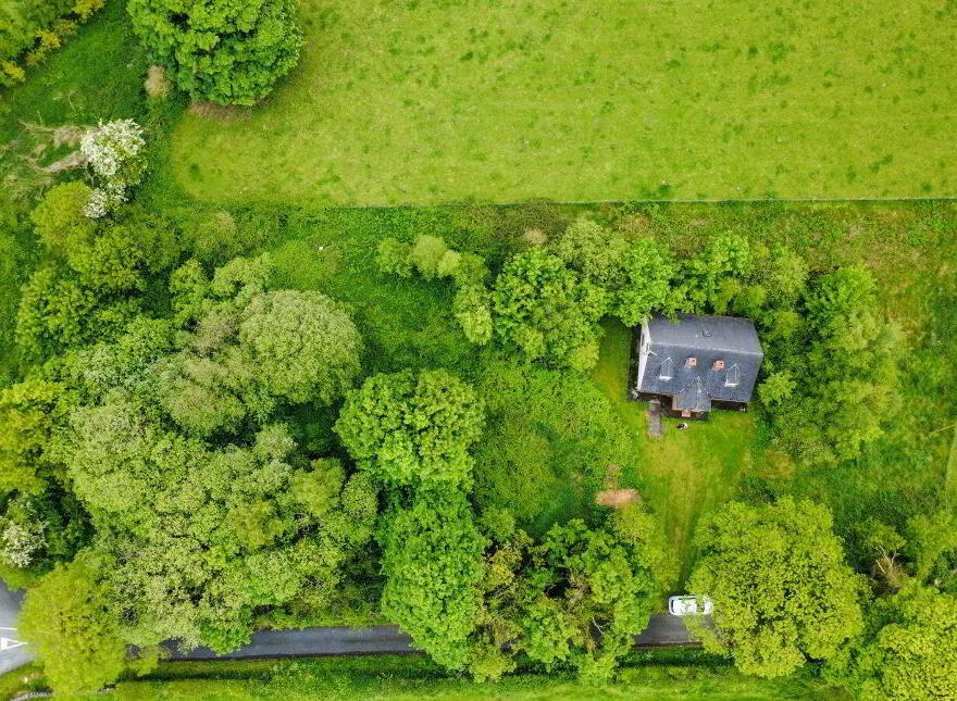 Derrynagarragh, Collinstown, Crookedwood, N91AX80