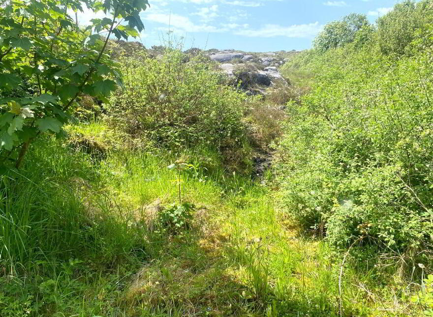Annagry, Loughanure