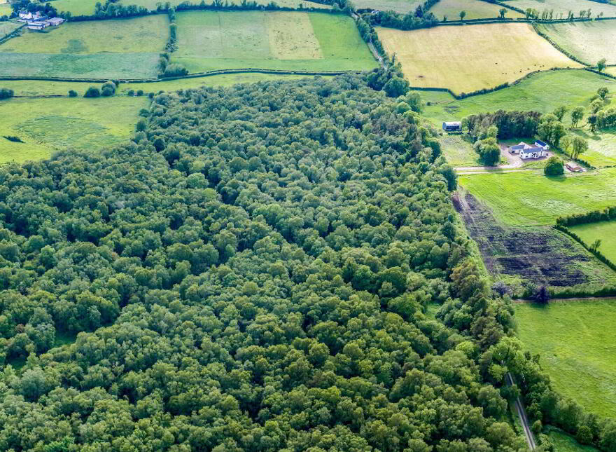 Lands, Rossarrell, Glaslough
