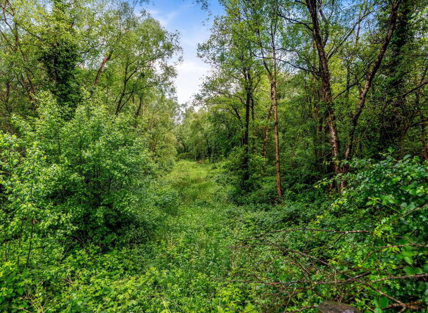 Lands, Rossarrell, Glaslough